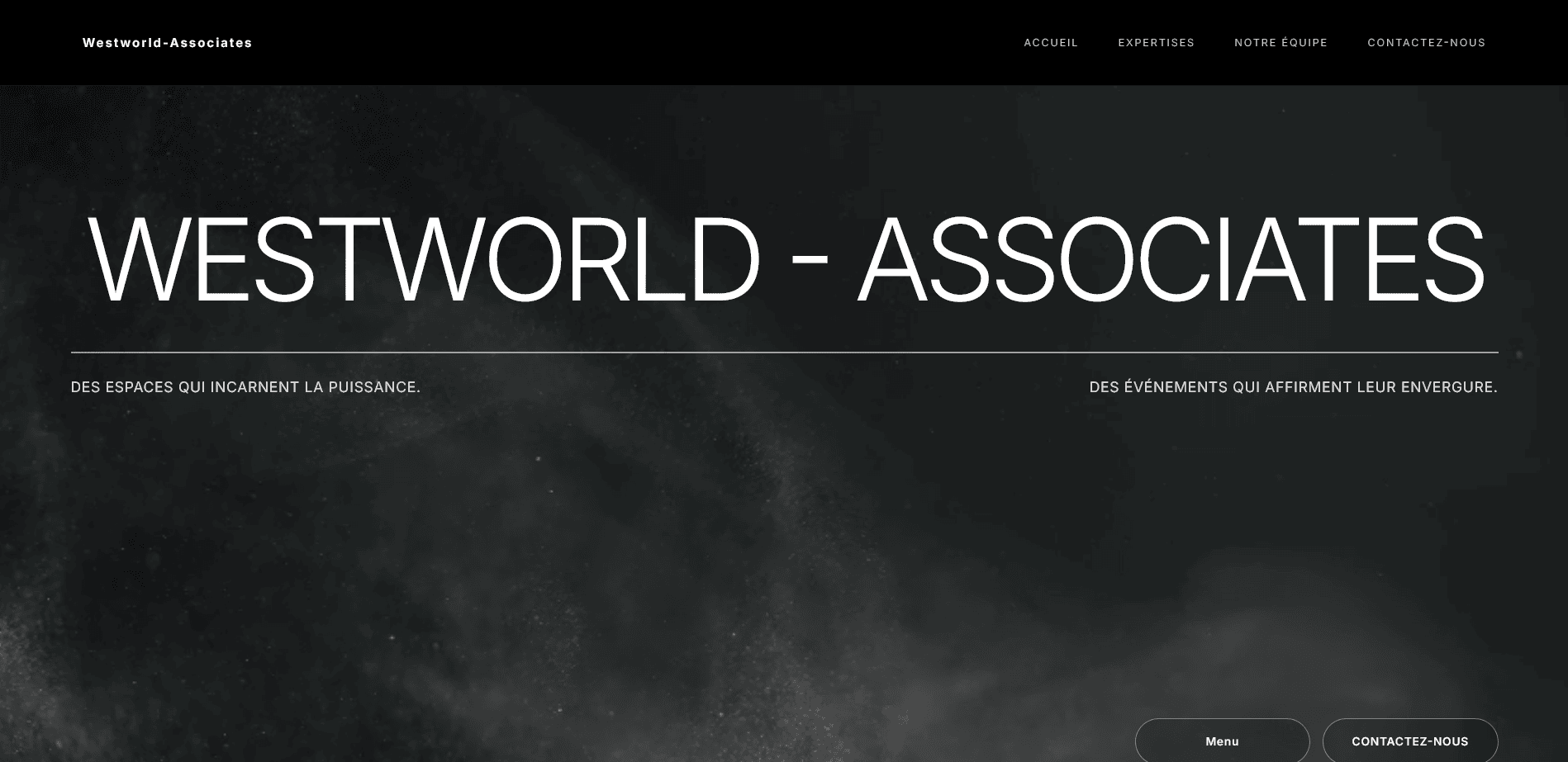 Home 14 Westworld Associates : aperçu du site vitrine