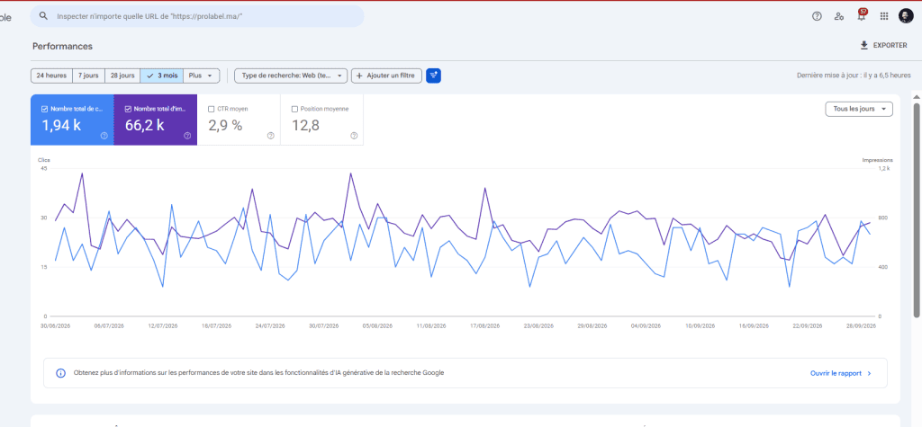 Projet SEO Prolabel